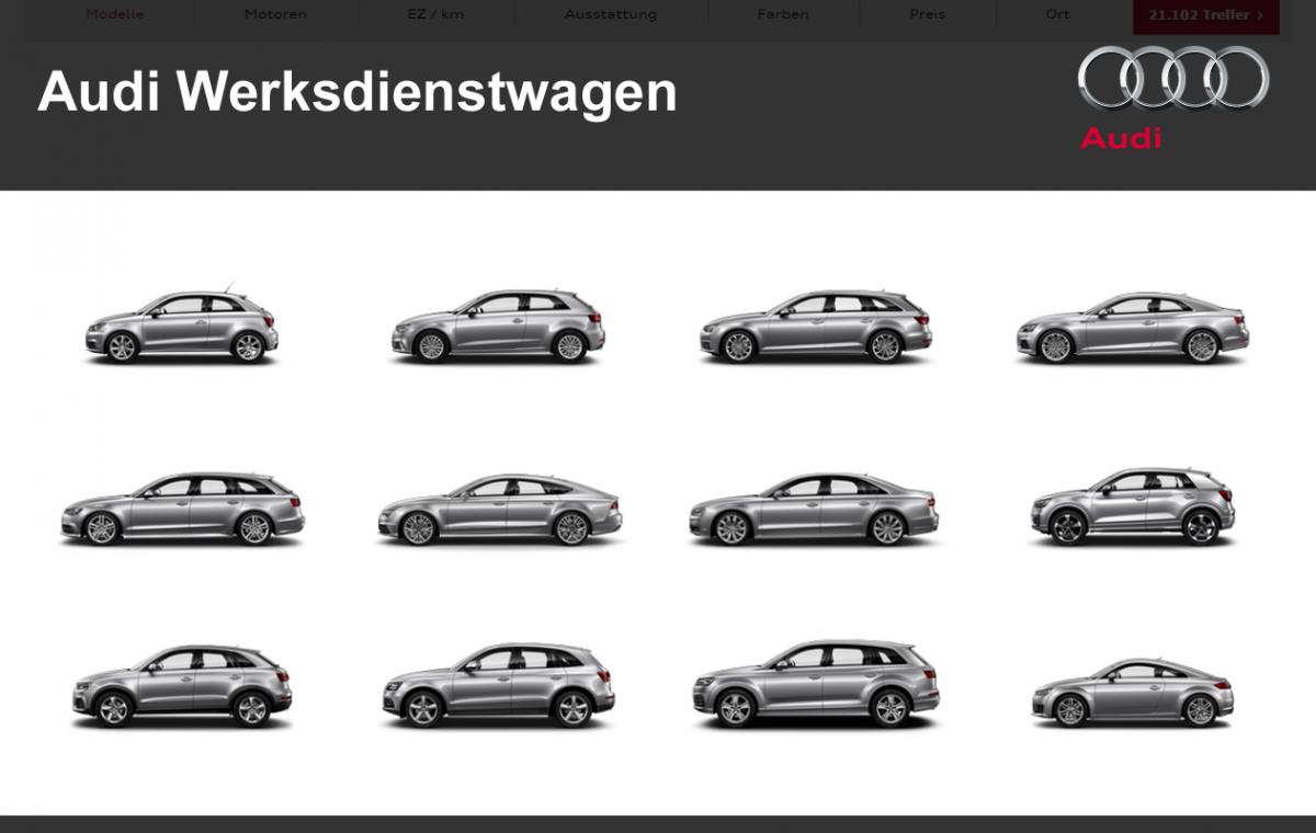 Audi Werkswagen